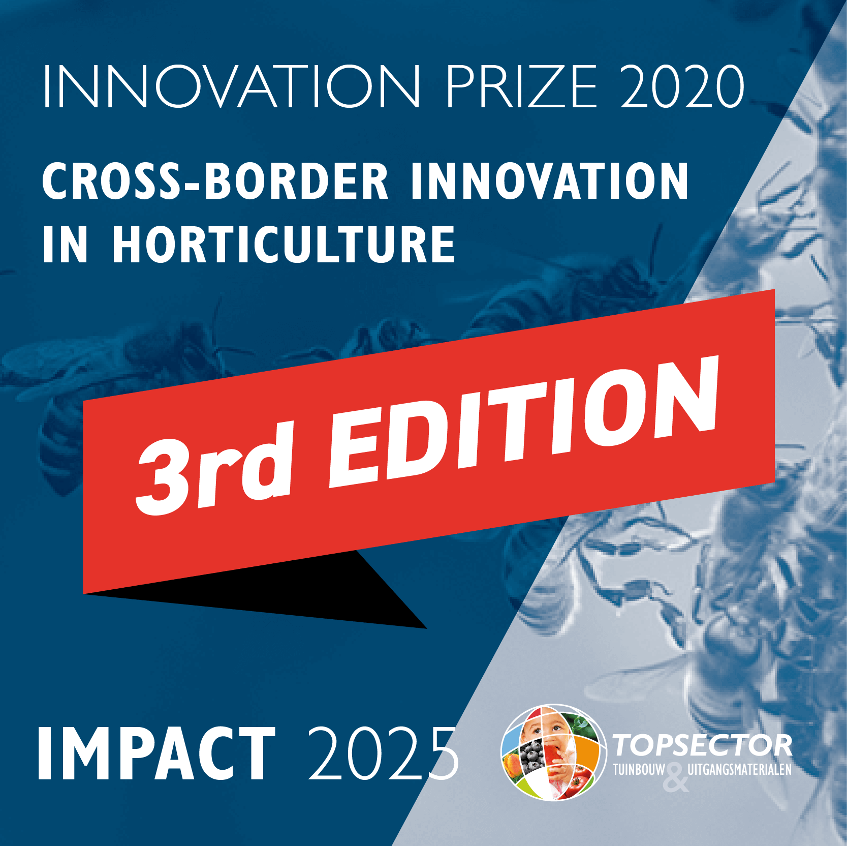 IMPACT2025-InnovationPrize-3rd-Edition-400px
